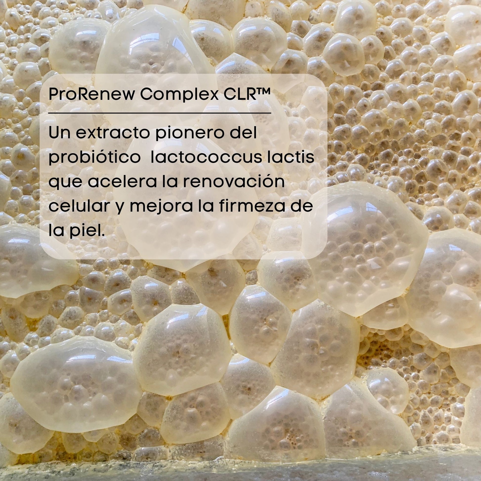 ProRenew Complex CLR extracto probiótico de crema urbanbio de shafa cosmetics