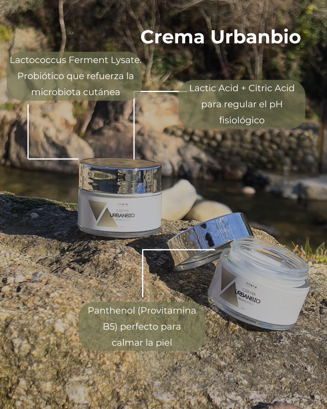 2 botes de crema urbanbio de shafa cosmetics con ingredientes clave, probióticos, Provitamina B5 y ácido láctico